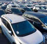 Wholesale Auction Prices Soften